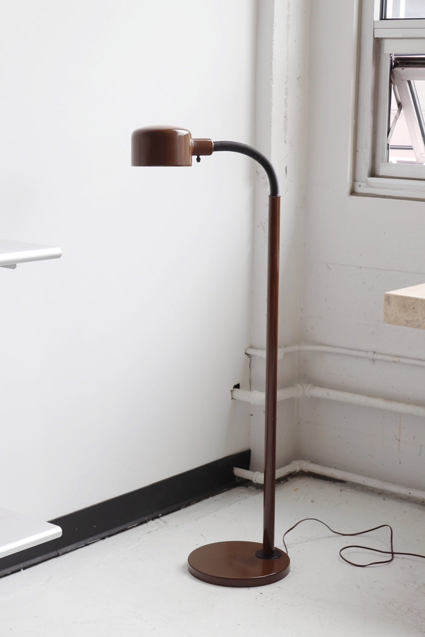 Brown Gooseneck Task Floor Lamp