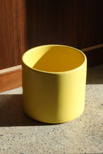 Load image into Gallery viewer, Yellow Gainey Planter
